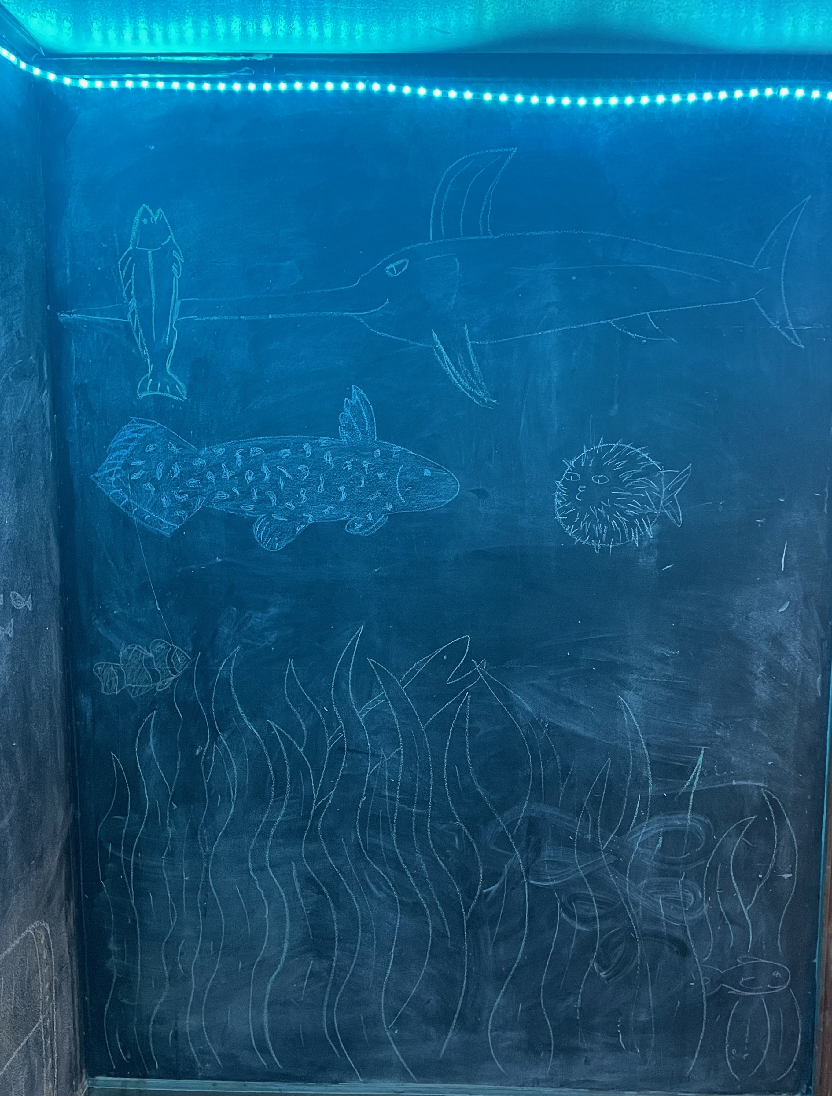 Frat Ocean Party Wall Chalk Art